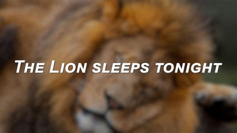 The Tokens The Lion Sleeps Tonight Lyrics Youtube