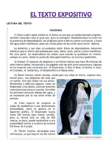 Ficha Online De Los Pinguinos Para 4º 6º Primaria Puedes Hacer Los
