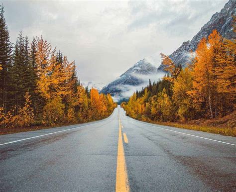 6 Incredible Canadian Road Trips To Take This Fall Vagrants Of The