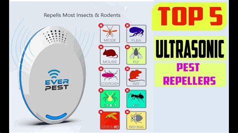 Top 5 Best Ultrasonic Pest Repellers In 2022 Youtube