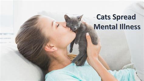 Cats Spread Mental Illness Youtube