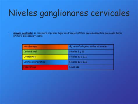 Ppt Anatomía Cervical Powerpoint Presentation Free Download Id903406