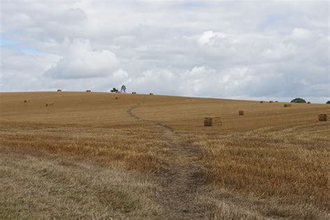 Path Through A Harvested Field Bill Boaden Flickr