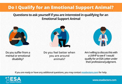 What is an Emotional Support Animal? - ESA Doctors