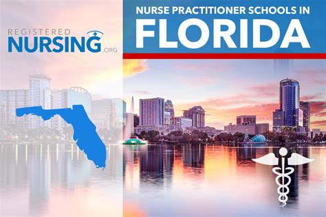 Nurse Practitioner Programs In Florida Online And Campus