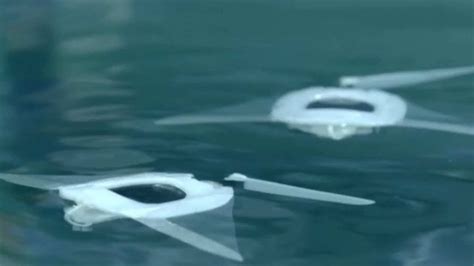 Chinese Uni Develops Soft Body Robotic Manta Ray Youtube