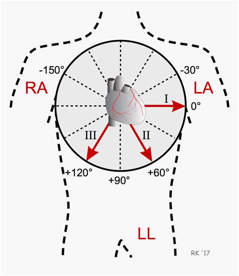 Ecg Bipolar Limb Lead Axis Augmented Limb Leads Hd Png Download