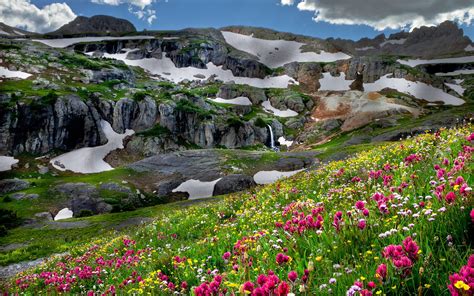 Pink Flowers And Green Grass Beside Mountains During Cloudy Day Hd