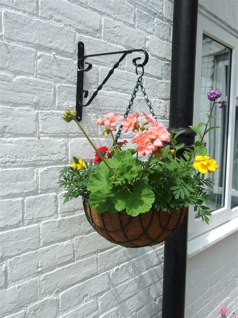 But don't limit their charm to just hanging outdoors. Hanging Basket Plants: Best Flowers For Hanging Baskets