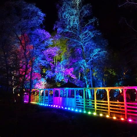 The Enchanted Forest Pitlochry 2022 Lohnt Es Sich Mit Fotos