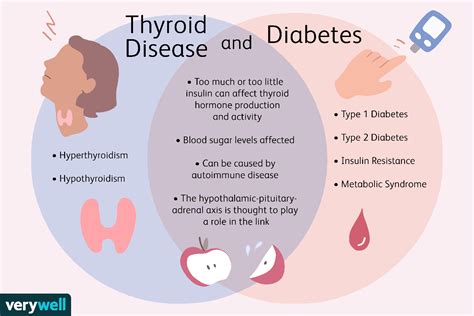 The Connection Between Thyroid Disease And Diabetes