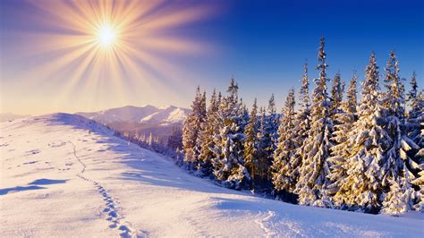 Winter Sun High Definition Wallpapers Hd Wallpapers