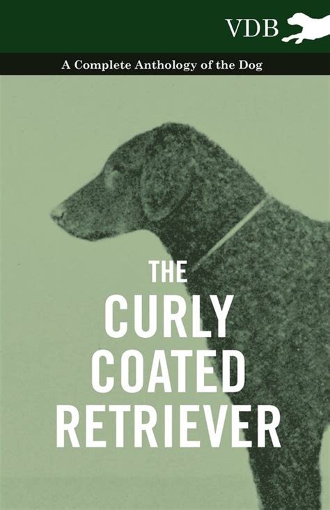 The Curly Coated Retriever A Complete Anthology Of The Dog