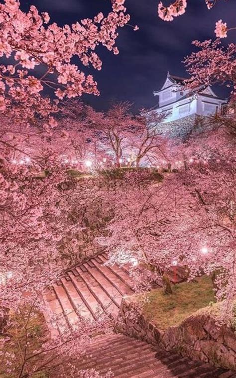 Download japanese cherry blossom art wallpapers desktop background desktop background from the above display resolutions for 3. romantic wallpaper hd 1080p free in 2020 | Japanese landscape, Beautiful nature, Cherry blossom ...