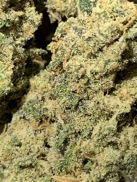 LA Kush cake by Meigs county Kush Mints x Wedding cake. smells and