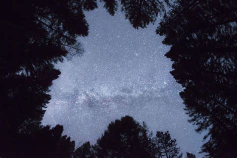 Idaho Hopes To Bring Stargazers To First Us Dark Sky Reserve Local