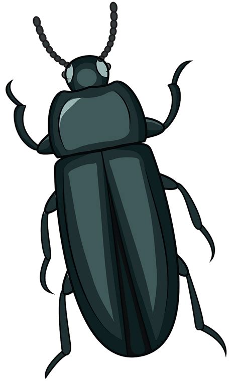Beetle Clipart Free 10 Free Cliparts Download Images On Clipground 2024