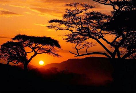 Serengeti National Park Sunset Tanzania Africa Sunset African