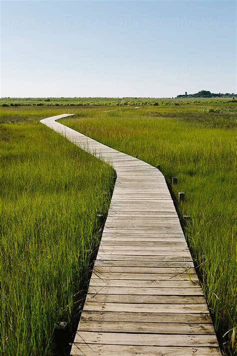 Boardwalk In Marsh Landscape In Summer By Stocksy Contributor