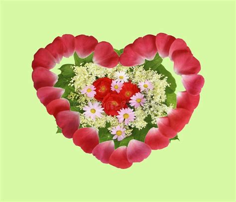 Lovely Floral Arrangement In The Shape Of Heart Stock Photo Image Of