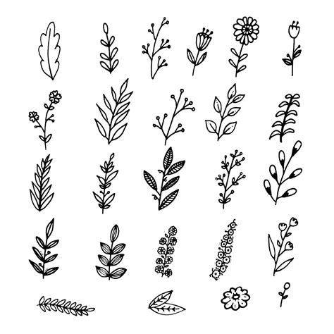 Leaf And Flower Doodles Doodle Leaves Flower Png And Vector With