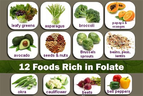 Folic Acid Rich Foods