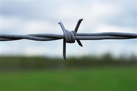 Barbed Wire Designs Hot Sex Picture