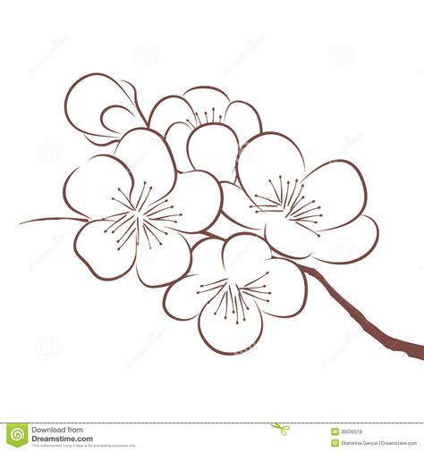 Cherry tree, tree clipart, pink, romantic png transparent clipart image and psd file for free download. Spring Cherry Blossom Stock Vector - Image: 39030519