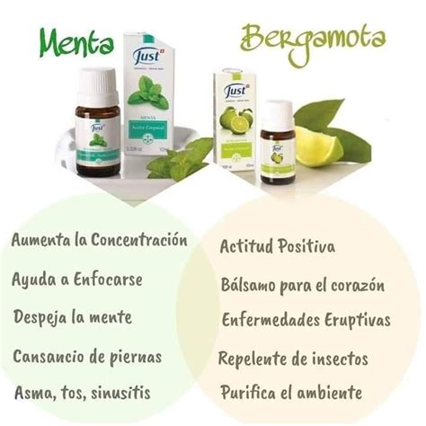 Menta Y Bergamota Aceite De Bergamota Recetas De Aceites Esenciales