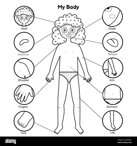 Human Body Clipart Black And White