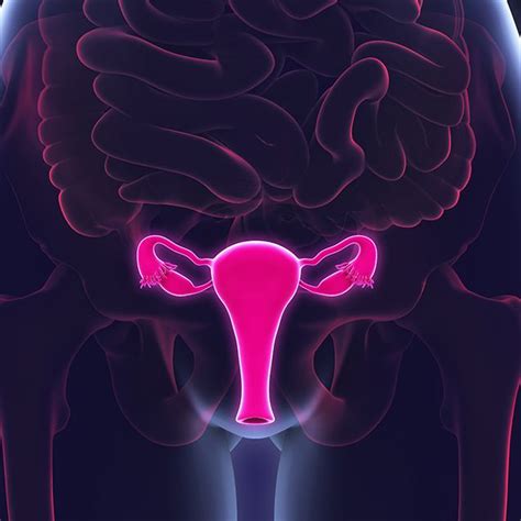 Vaginal Cancer Everything You Need To Know Womens Health