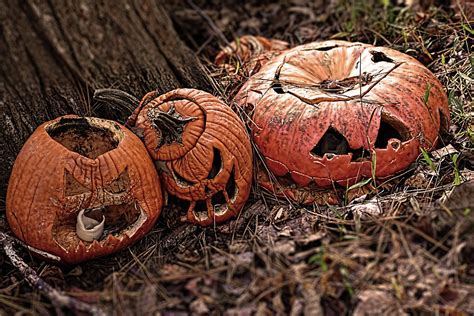 The Pumpkin Graveyard Photograph By Jason Bohannon