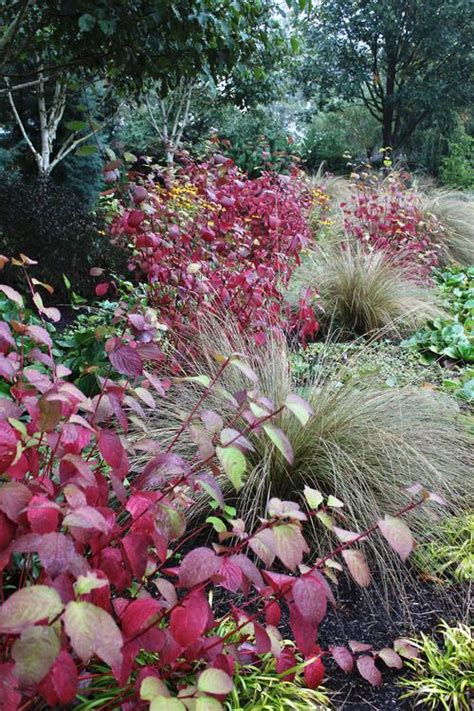 How To Use Burgundy In Your Flower Garden