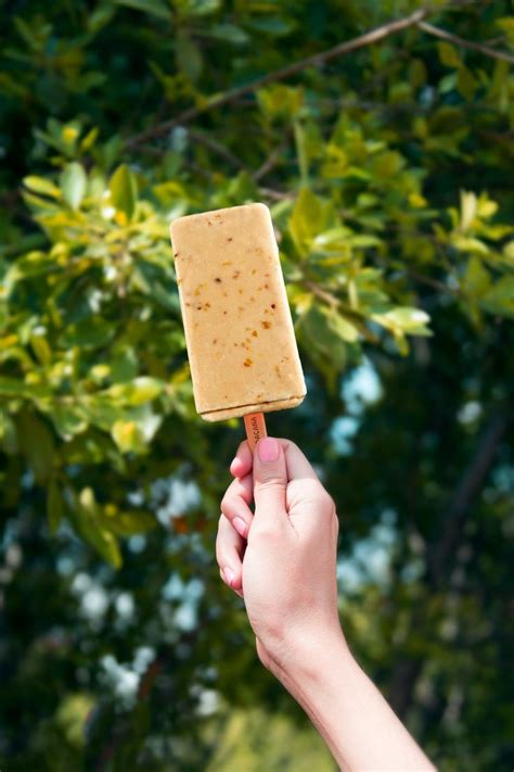 Walnut Paleta Ice Cream Bar In 2022 Icecream Bar Walnut Flavors