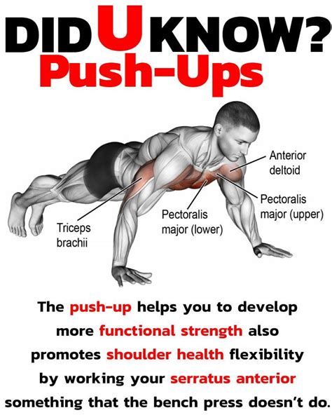 Gain Total Body Strength With These 17 Push Up Variations Fun