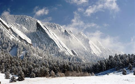 Snow Colorado Usa Nature Landscape Mountain Pine Trees Forest