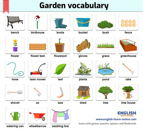 Names Of Things Around Garden In English Learn English