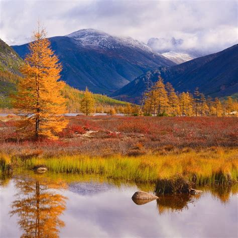 Autumn Along The Kolyma River Siberia Russia By Maxim Evdokimov