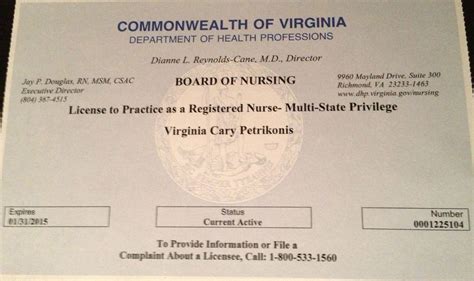 Nh Life Insurance License - Financial Report