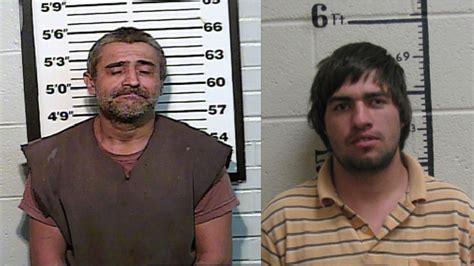 Two Arrested For Arson In Tennessee At Least One Ignited Wildfire Wztv