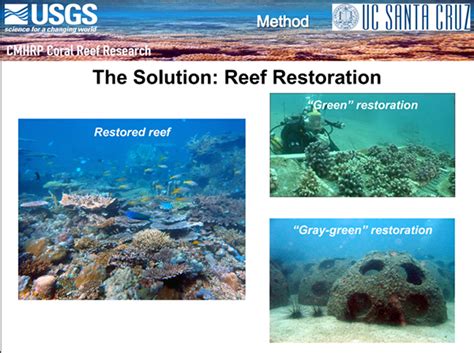 Jun Considering Coral Reefs As Natural National Infrastructure For Coastal Protection