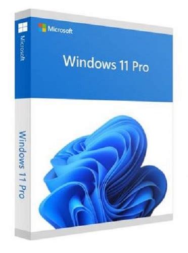 Windows 11 Professional Dvd 64bit Dvd Sw102361