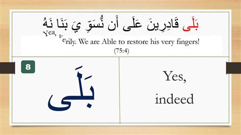 If you want to learn alfa in english, you will find the translation here, along with other translations from afrikaans to english. Day 1: Quranic Arabic crashcourse: words 1-12 (no/yes ...