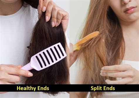 Split Ends Vs Healthy Ends How To Identify And Get Rid Of Splits