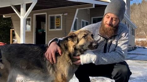 Real Life Lassie Dog Leads New Hampshire Police To Her Injured Owner