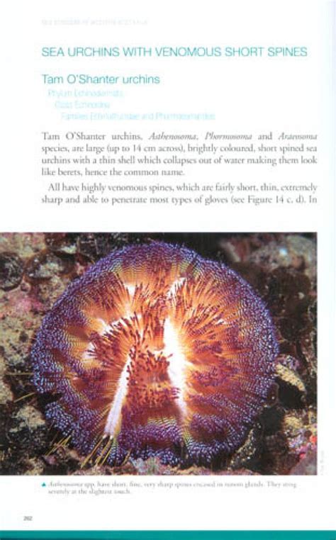 Field Guide To Sea Stingers And Other Venomous And Poisonous Marine