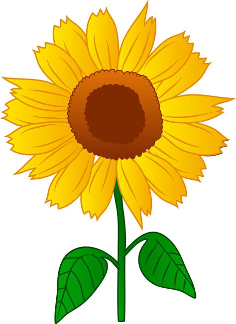 Pretty Golden Sunflower Free Clip Art