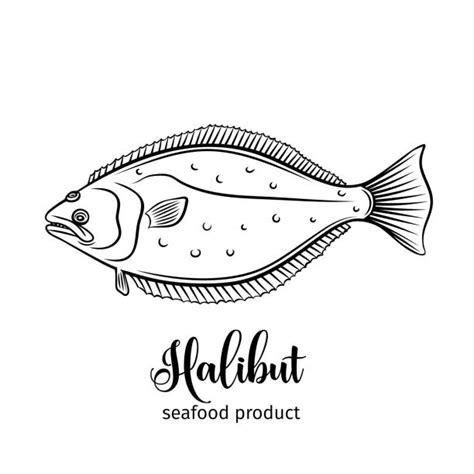 Halibut Illustrations Royalty Free Vector Graphics And Clip Art Istock