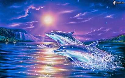 Delfines Imagenes Desde Guardado Uploaded User