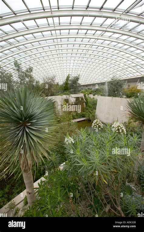 Mediterranean Greenhouse At The Welsh Botanical Garden South Wales